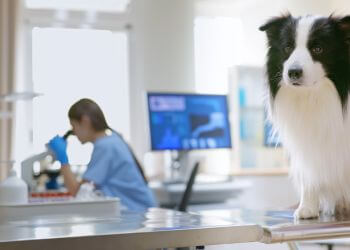 technician doing lab test