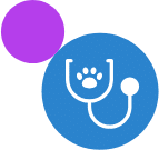 Stethoscope next to a dog paw icon