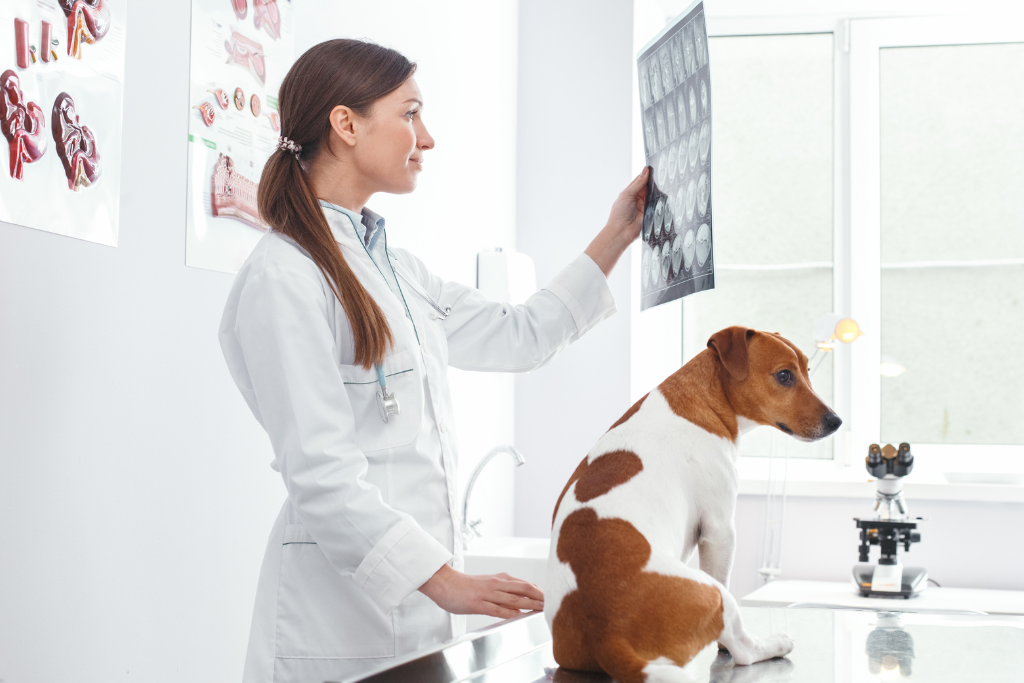 A woman in a lab observing a dog's report