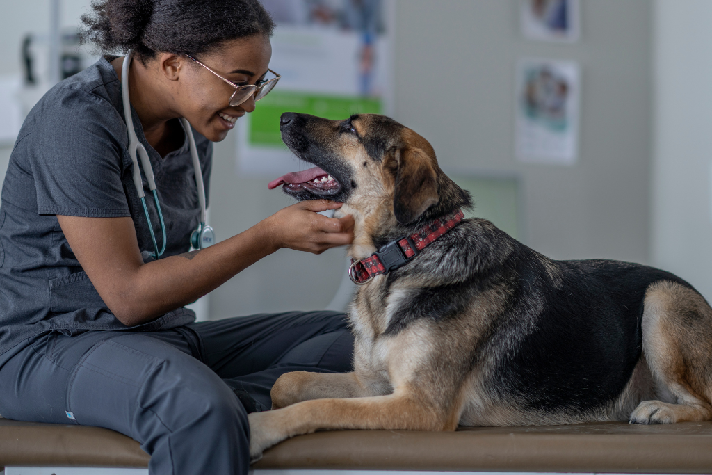 Female healthcare worker in scrubs gently petting a dog