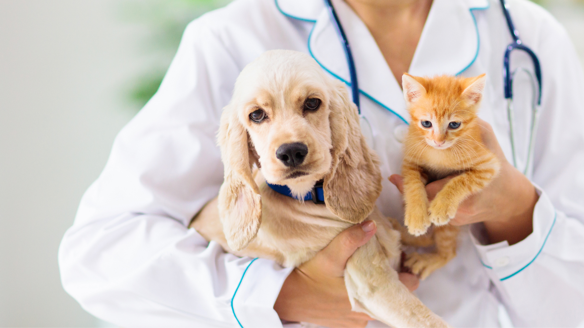 Woman in white coat holding a dog and a cat