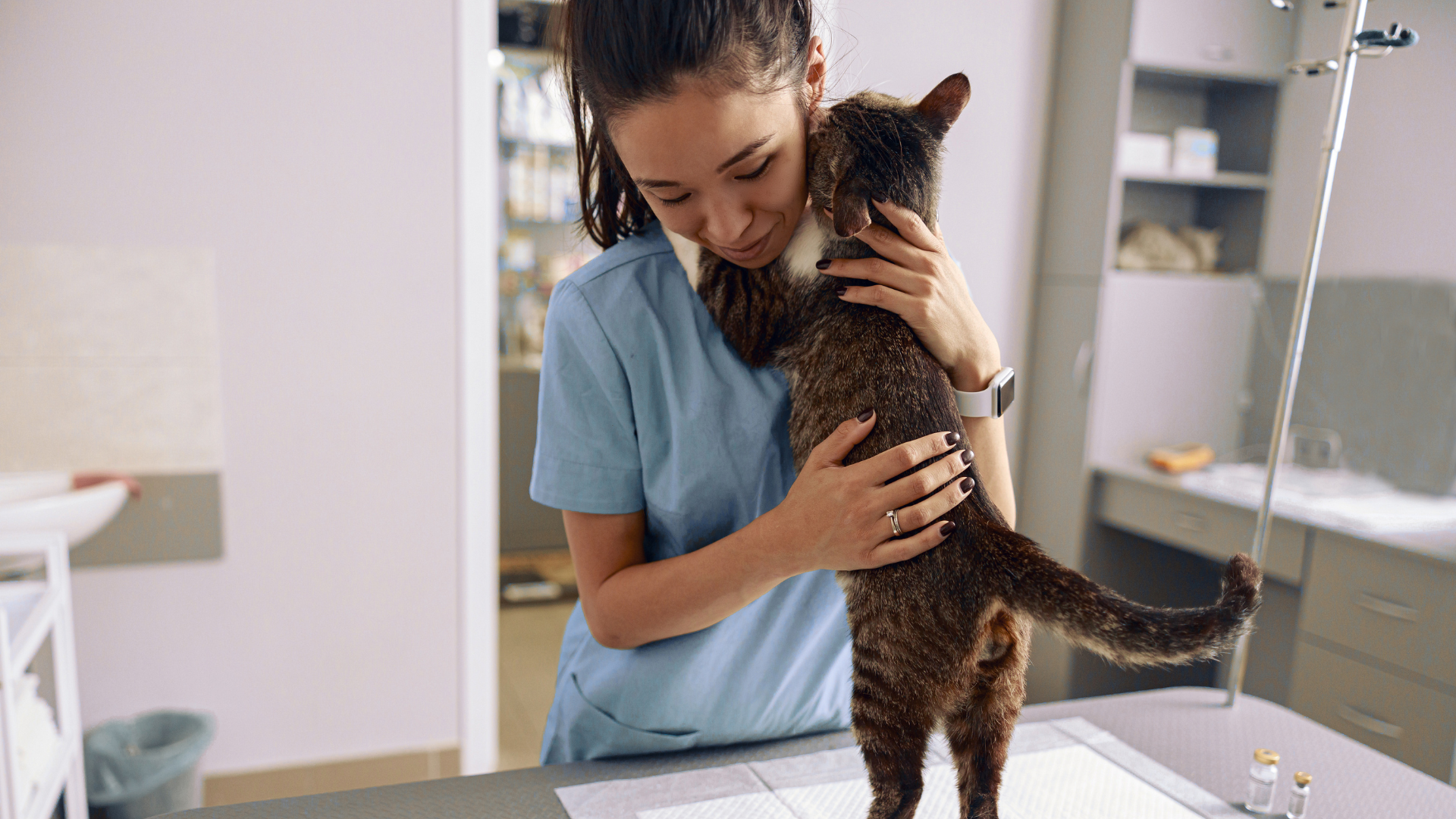 A woman in a blue shirt cuddling a cat