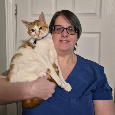 Amy coming soon image