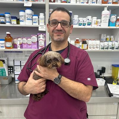 Dr. Ghobrial Dr. Reza Habibian